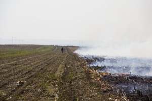 Ne spaljujte organske ostatke jer degradirate kvalitet i funkciju zemljišta na duži vremenski rok